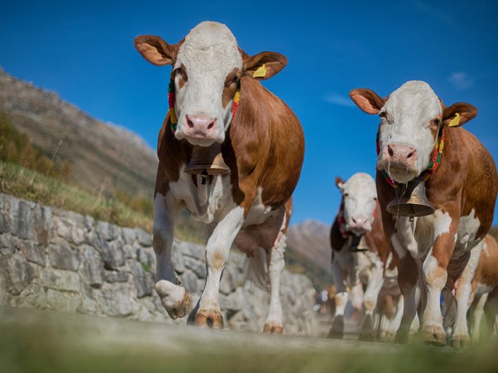 Foto per il Turismo,tradizioni